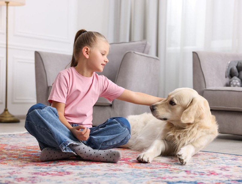 gyerek ölel kutya támad harap testbeszéd jelzés