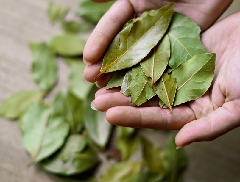 konyhai alapanyagok babérlevél mosógépbe