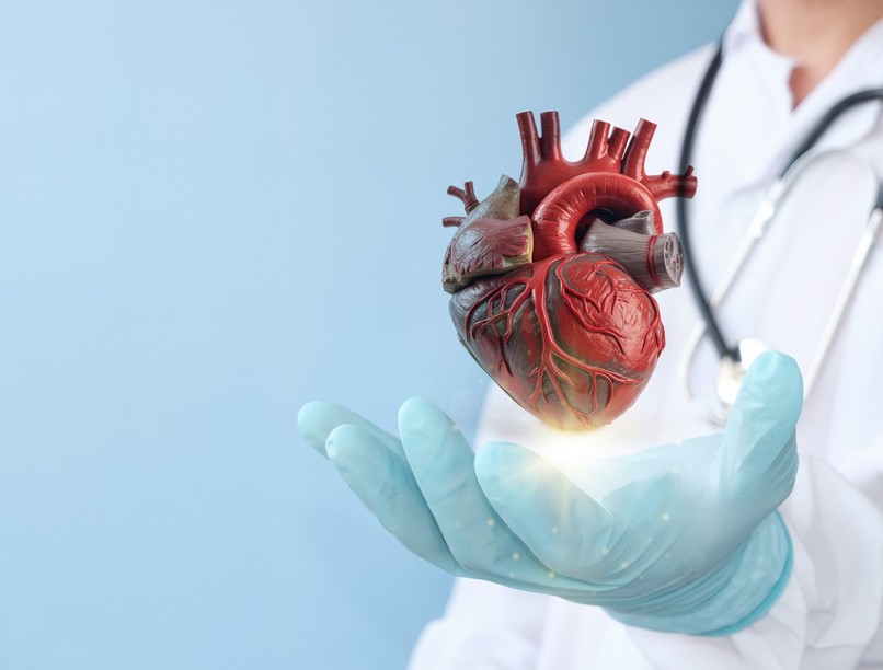 szívbetegség, szűrés, európai kardiovaszkuláris akcióterv