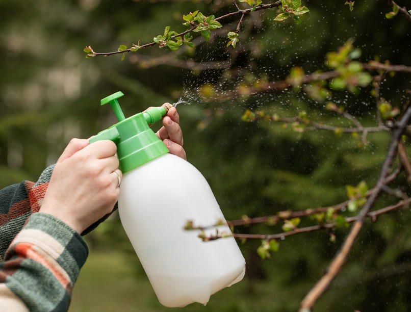 hamis növényvédő szer nébih