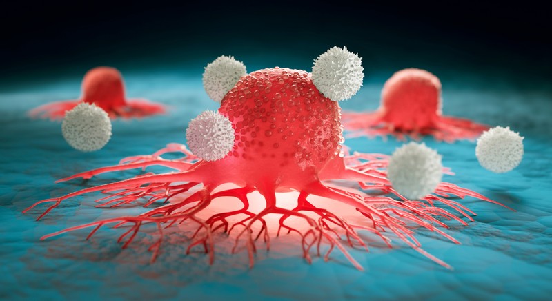 Mi a rák? Az első jelektől az áttétig, kezelésig, túlélésig – ezeket érdemes tudni róla