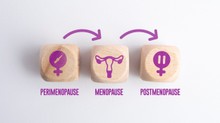 A petefészkek második élete: érdekes karrierváltáson esnek át a menopauza után című cikk nyitóképe