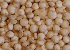 Tényleg odafigyelünk a táplálkozásra?