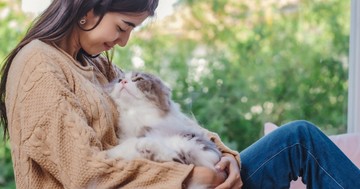 Ilyen hatással lehet egészségünkre a macskadorombolás