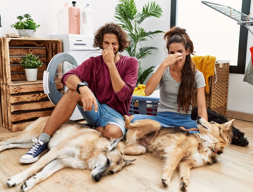 mitől büdös a kutya