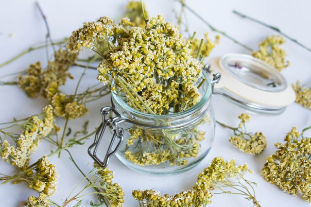 Lappangó gyulladás: ezeket a gyógynövényeket javasolja a bükki füvesember