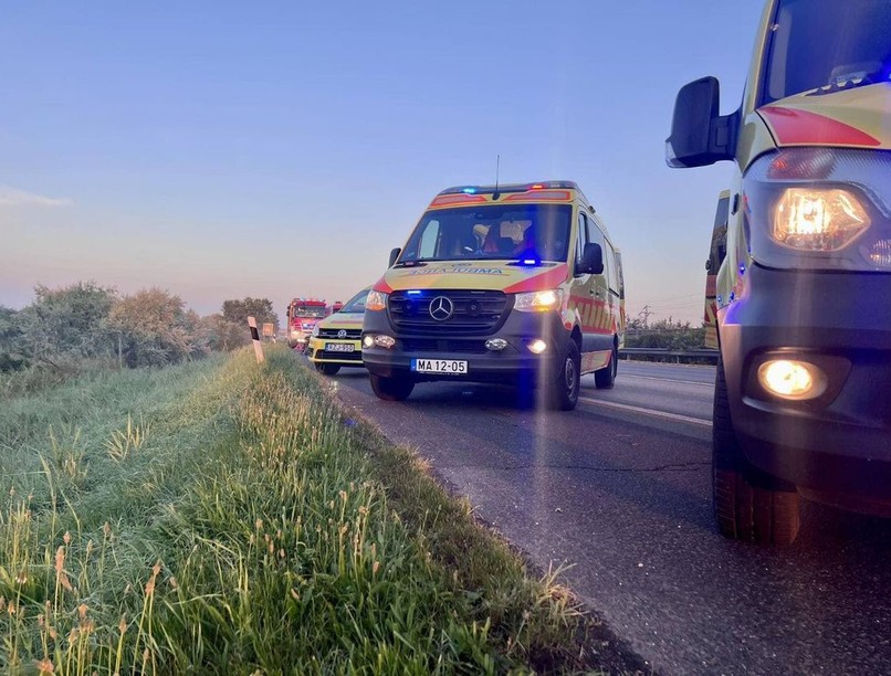 mentő, darázs, sürgősségi, mentők