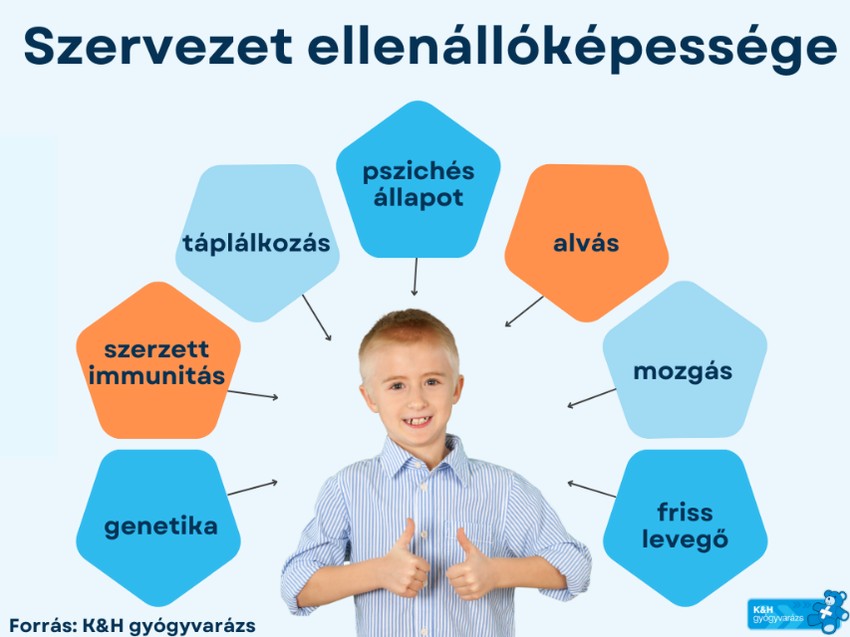 szervezet ellenállóképessége KH gyógyvarázs
