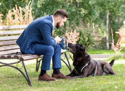 A kutyák felismernek valamit a beszédben, amit eddig kizárólag emberi képességnek tartottak című cikk nyitóképe