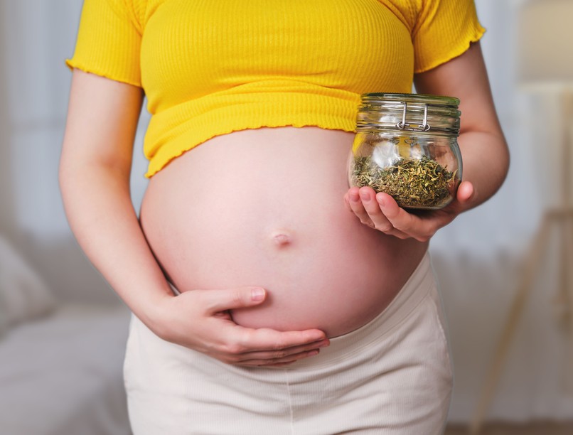 terhes, várandós, gyógynövény