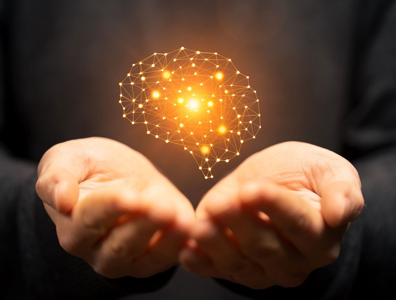 agykutatás neuroplaszticitás tanulás