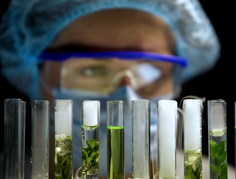 növényvédő szer, magzat, terhesség, rovarirtó