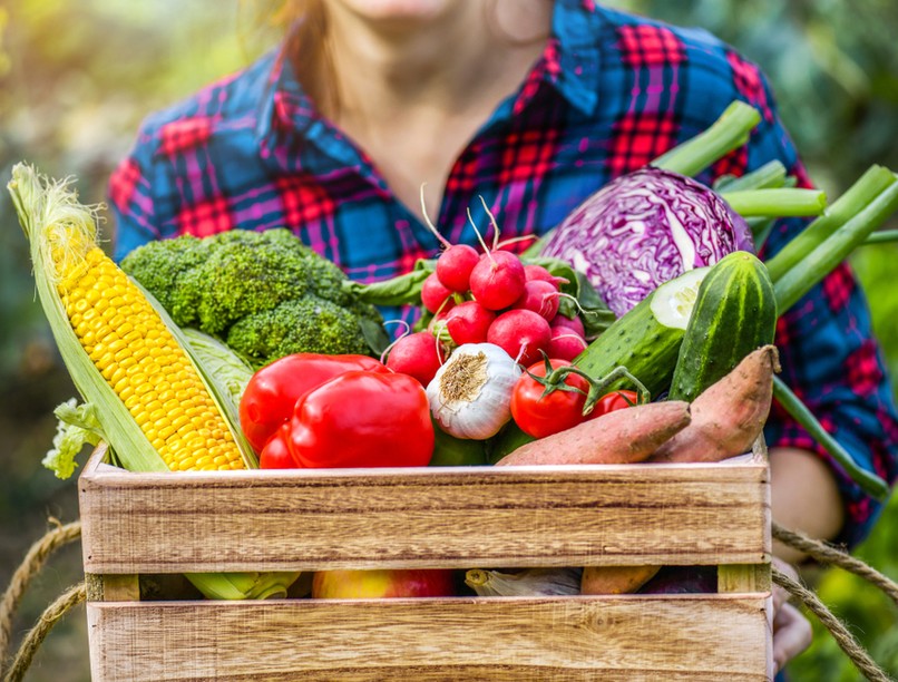 közösségi gazdálkodás, élelmiszer, egészséges, friss, zöldség, gyümölcs, 