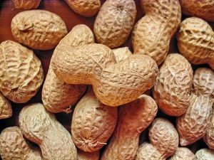 Valós veszély: terhesség és mogyoróallergia