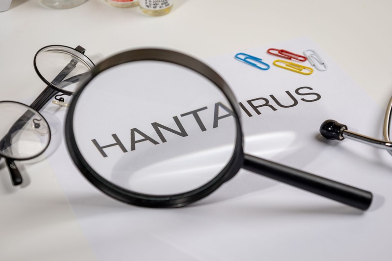 Repülőn is felmerült a hantavírus-fertőzés veszélye egy óceánjáró utasai után