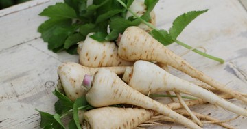 Paszternák, az alábecsült tavaszi zöldség, amivel érdemes barátságot kötnünk