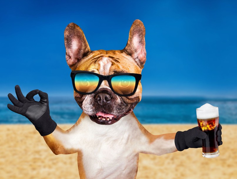 legrégebbi kocsmavicc