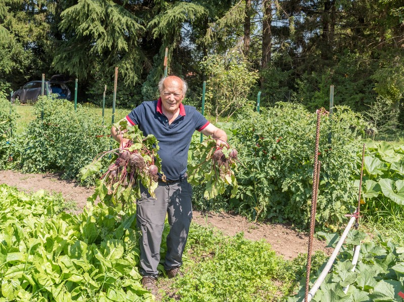 Már a halál kapujában állt: majdnem 3 kilogramm céklát evett meg hetente egy férfi!