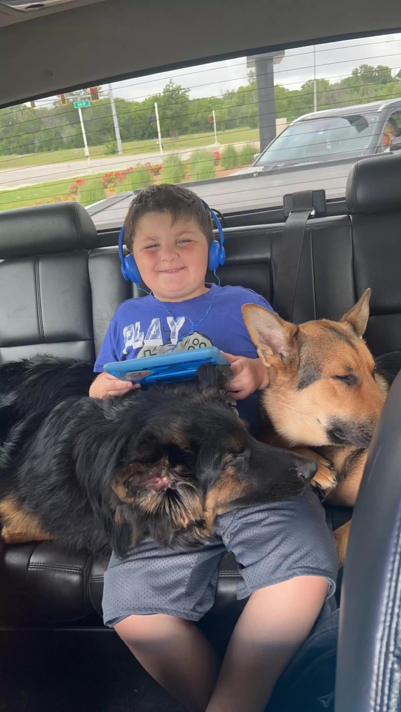 Kutyát kapott a szívbeteg kisfiú, majd olyan dolog történt amire senki sem számított