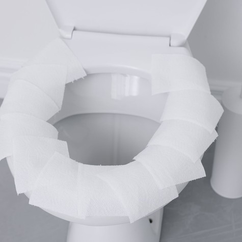 El lehet kapni betegségeket a nyilvános WC-ülőkétől? A mikrobiológus egyértelmű választ adott című cikk nyitóképe