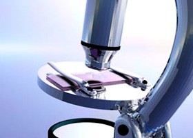 Chlamydia trachomatis