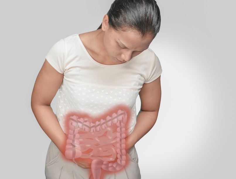 vastagbelrak_kialakulasa