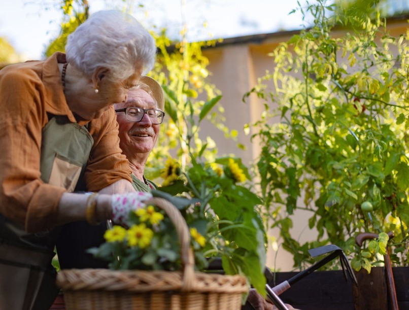 kertészkedés idős hatás demencia egyensúly