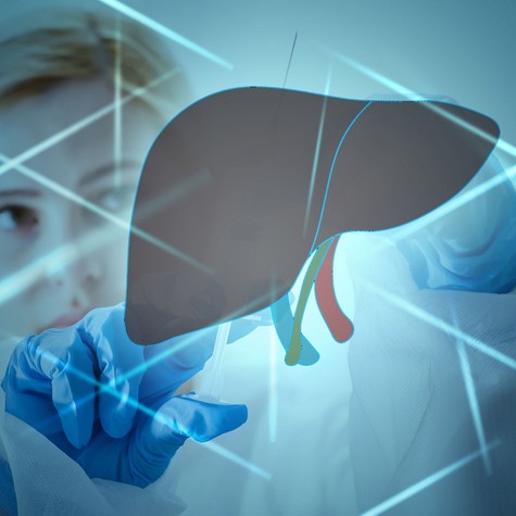 Ultrahanggal kideríthető-e a magas májenzimek oka - mikor igen, mikor nem? című cikk nyitóképe