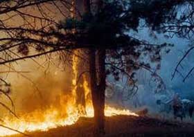 Még mindig az orosz hőgutáról