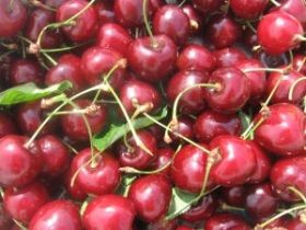 Cseresznyézzünk egy tálból!