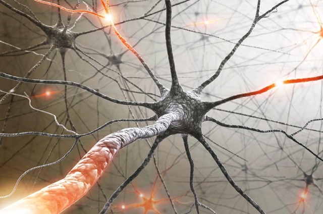 Az epilepszia diagnózisa