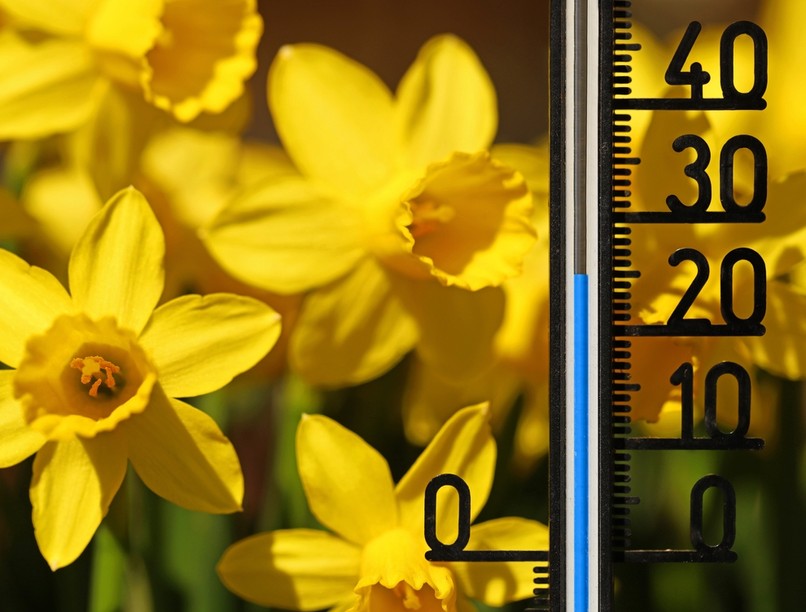 meteorológia, orvosmeteorológia, front, fronthatás, időjárásérzékenység, migrén, fejfájás