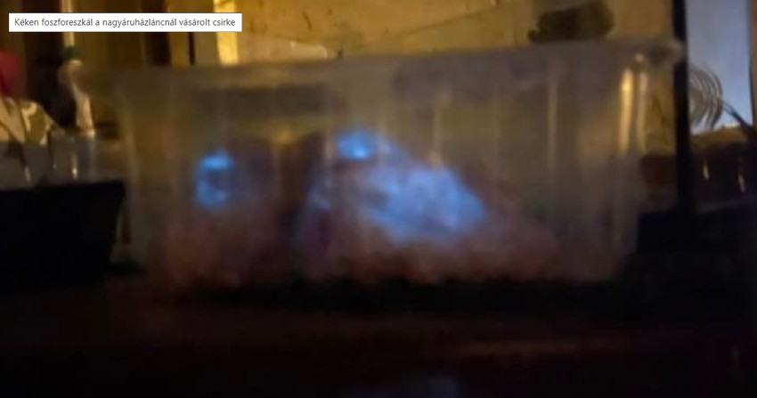 Kéken foszforeszkált a boltban vásárolt csirkefarhát