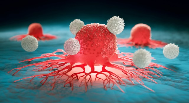 Mi a rák? Az első jelektől az áttétig, kezelésig, túlélésig – ezeket érdemes tudni róla