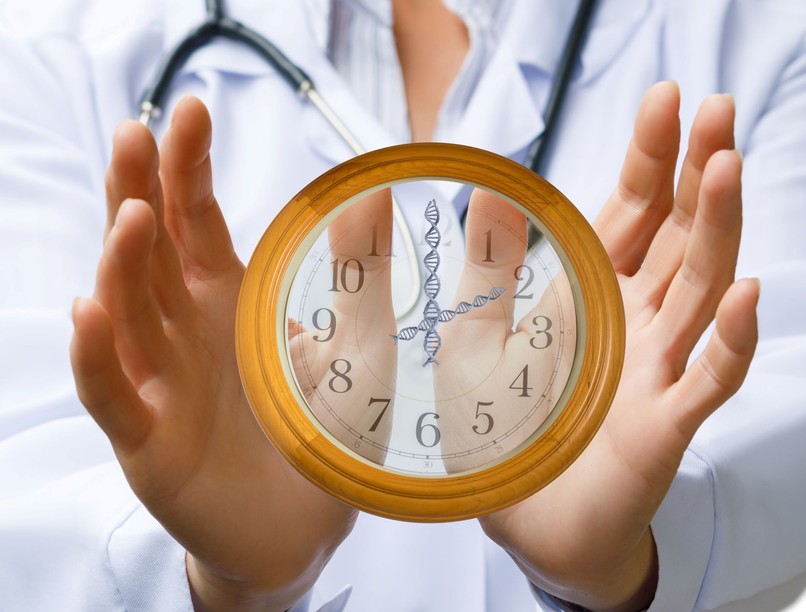 hogyan öregednek sejtek