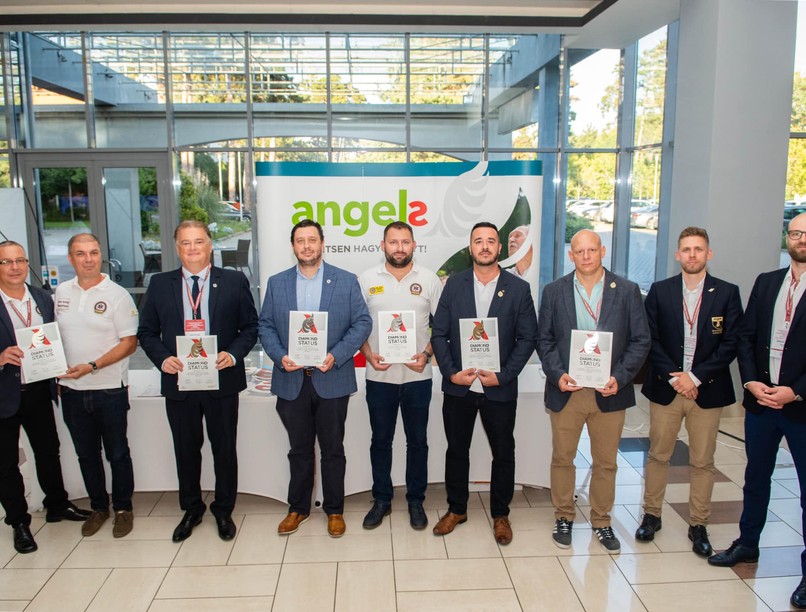 világelső magyar mentőszolgálat helyszíni stroke-ellátás