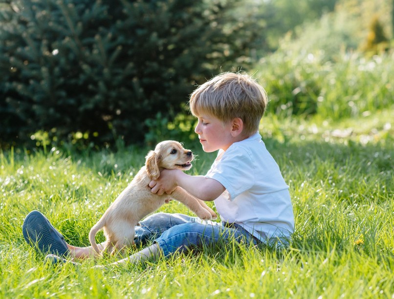 kutyaharapás veszettség oltás gyerek