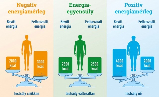 Az energiabevitel és az energiaigény összefüggései