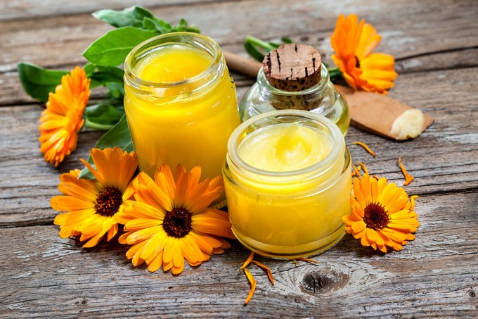 Körömvirág kenőcs: sebgyógyításra, visszérre és aranyérre is használhatja című cikk nyitóképe