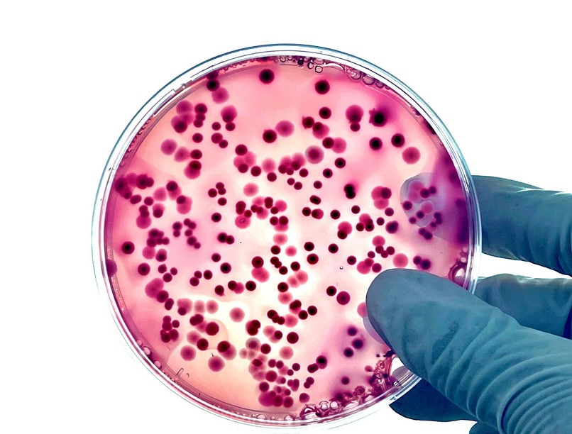 antibiotikum rezisztencia vírus szuperbaktérium