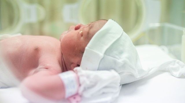 Először adtak agykárosodott újszülötteknek terápiás céllal anyatejet orrjáratba hazánkban