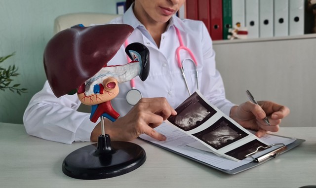 Már sokkal kevesebb alkohol is károsíthatja a májat, mint gondolná!