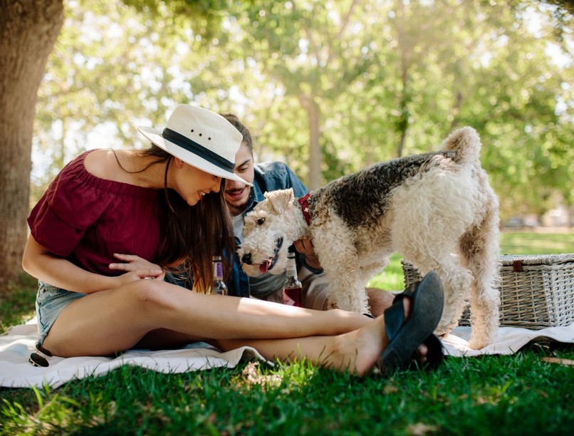 strand-sportolas-kullancsok-dualdur1