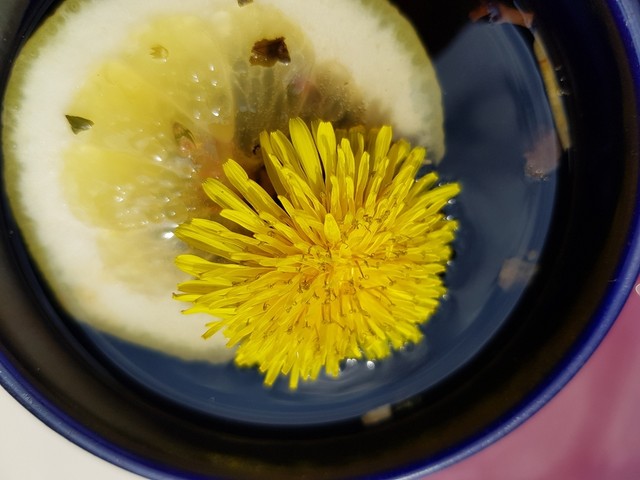 Megvan a hatóanyag vesekő ellen: a citromlé és a pitypang is tartalmazza