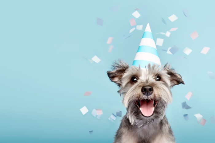 Tudja meg, vajon hány éves a kutyája – Nem 7-szeres szorzóval kell számolni! 