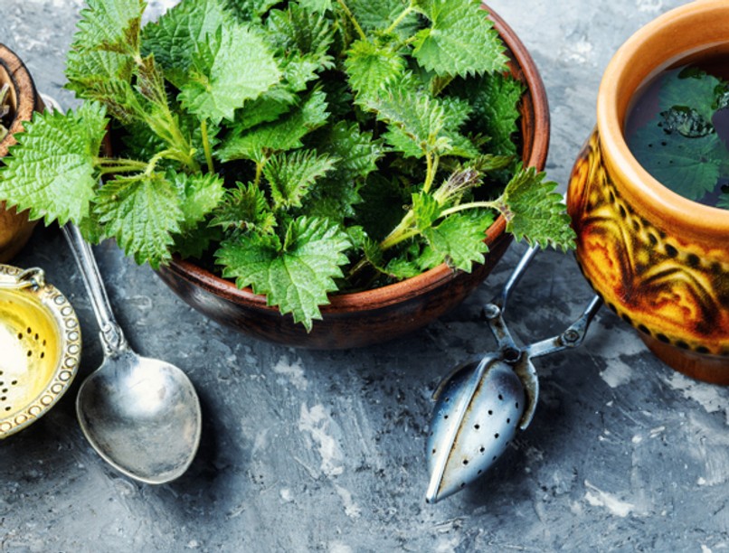 cukorbetegség, gyógynövény, fahéj, csalán, szederlevél