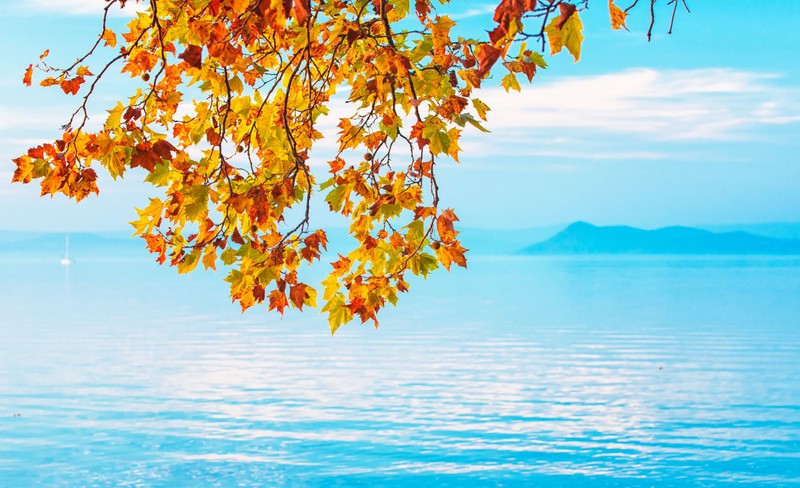 Jó hír érkezett! Így javult a levegő minősége Magyarországon