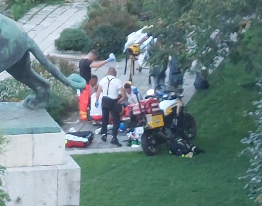 Nem állta meg szó nélkül, hogy leírja, amit tapasztalt.