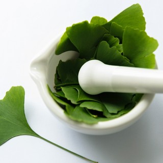 Ginkgo biloba - nem való mindenkinek, ilyen mellékhatásai lehetnek az ismert gyógynövénynek című cikk nyitóképe