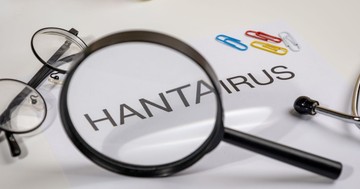 Repülőn is felmerült a hantavírus-fertőzés veszélye egy óceánjáró utasai után
